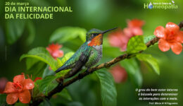 SITE_DIA INTERNACIONAL DA FELICIDADE - IBH.cdr