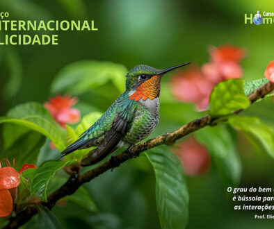 SITE_DIA INTERNACIONAL DA FELICIDADE - IBH.cdr