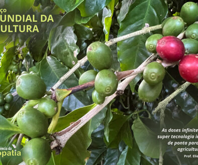 SITE_DIA MUNDIAL DA AGRICULTURA - IBH.cdr
