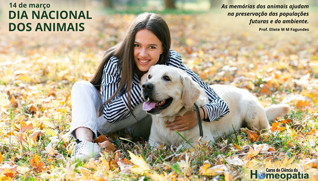 SITE_DIA NACIONAL DOS ANIMAIS - IBH.cdr