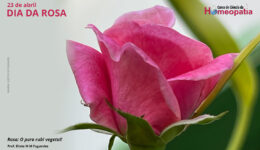 SITE_DIA DA ROSA - IBH.cdr