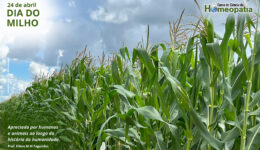 SITE_DIA DO MILHO - IBH.cdr