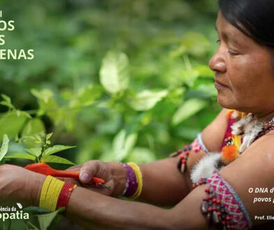 SITE_DIA DOS POVOS INDÍGENAS - IBH.cdr