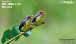SITE_DIA MUNDIAL DA VOZ - IBH.cdr