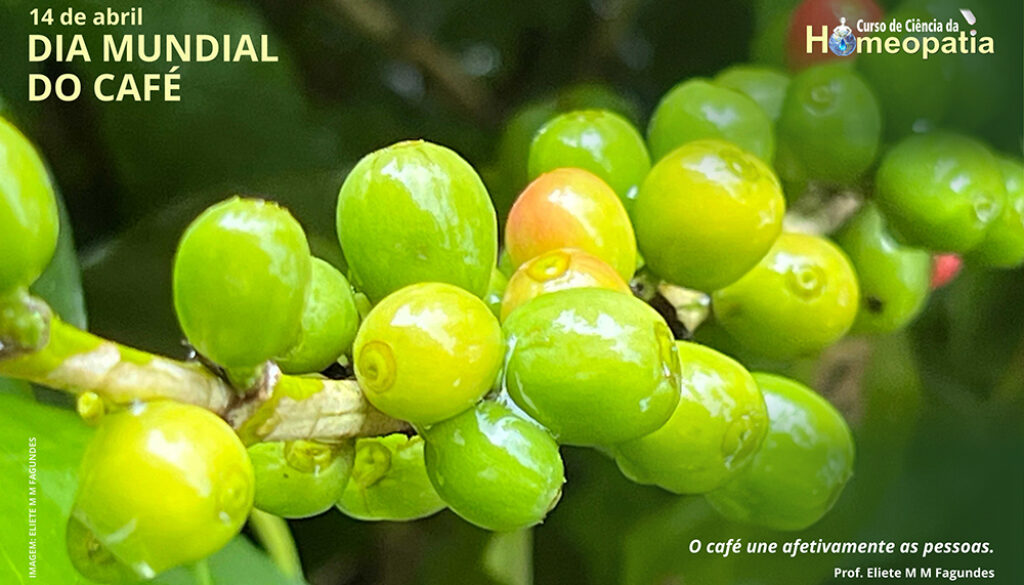 SITE_DIA MUNDIAL DO CAFÉ - IBH.cdr