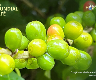 SITE_DIA MUNDIAL DO CAFÉ - IBH.cdr