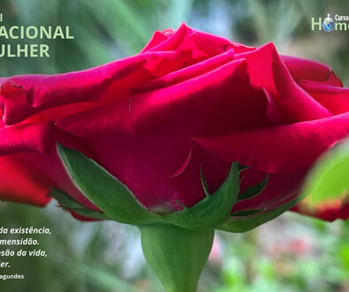 SITE_DIA NACIONAL DA MULHER - IBH.cdr