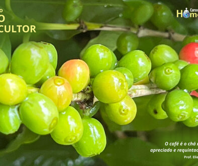 SITE_DIA DO CAFEICULTOR - IBH.cdr