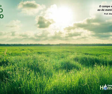 SITE_DIA DO CAMPO - IBH.cdr