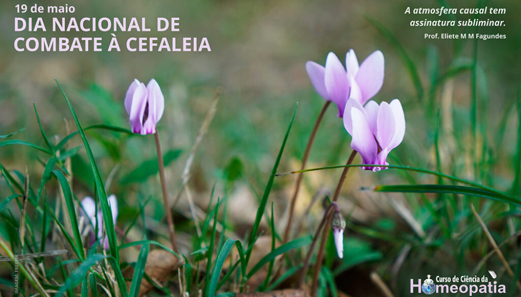 SITE_DIA NACIONAL DE COMBATE À CEFALÉIA - IBH.cdr