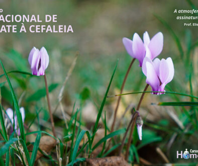 SITE_DIA NACIONAL DE COMBATE À CEFALÉIA - IBH.cdr