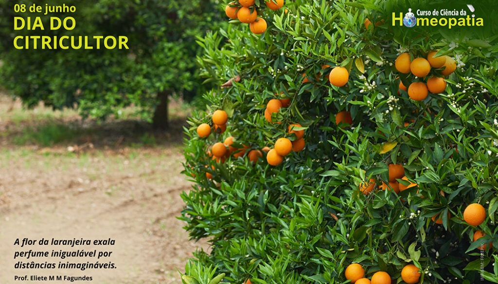 SITE_DIA DO CITRICULTOR - IBH.cdr