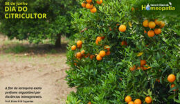 SITE_DIA DO CITRICULTOR - IBH.cdr