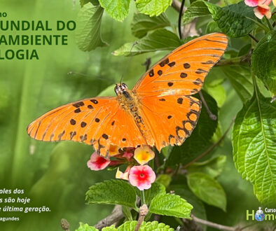 SITE_DIA MUNDIAL DO MEIO AMBIENTE E ECOLOGIA - IBH.cdr