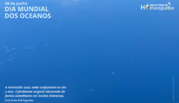 SITE_DIA MUNDIAL DOS OCEANOS - IBH.cdr